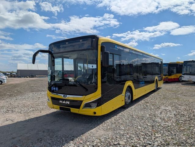 Bus MAN Lion's City