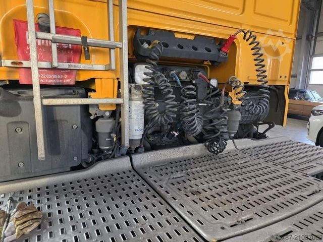 Standard SZM DAF XF 480 SC, ZF Intarder, Kühlschrank