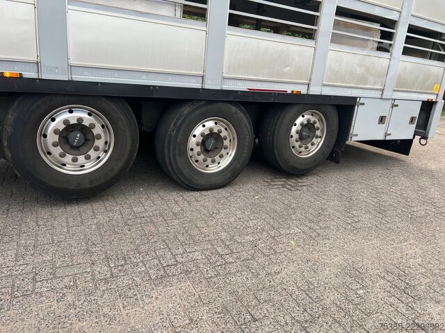 Cattle transport Berdex Livestock Ultra light 2 lift axle