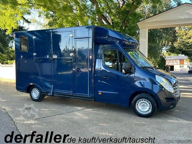 Viehtransporter Renault Master 1-2 Pferde Hengstversion