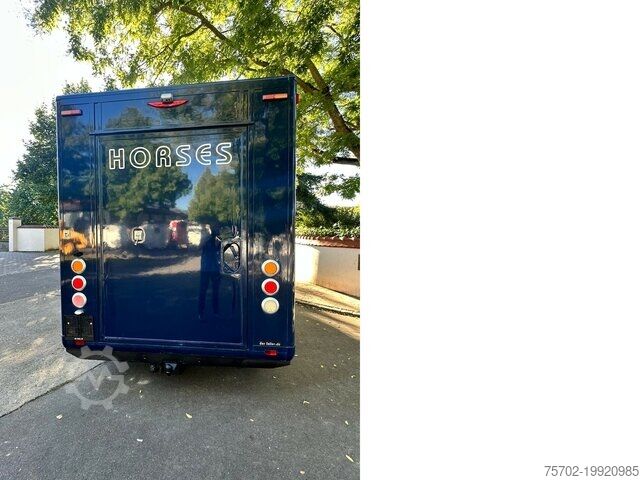 Viehtransporter Renault Master 1-2 Pferde Hengstversion