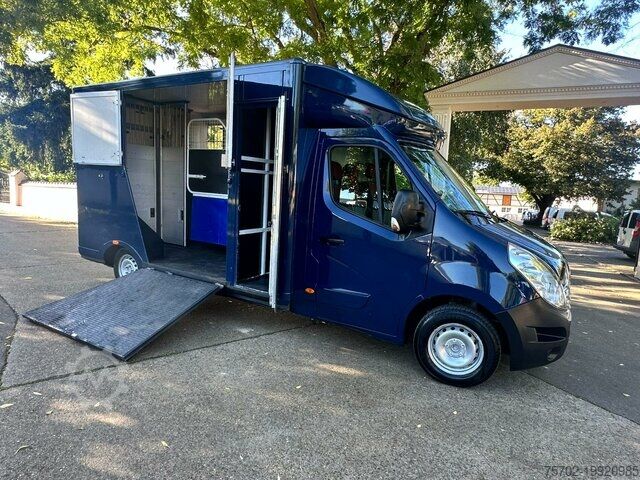 Viehtransporter Renault Master 1-2 Pferde Hengstversion