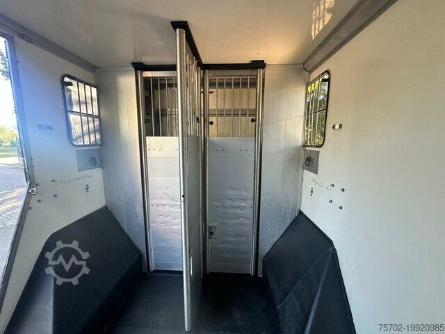 Viehtransporter Renault Master 1-2 Pferde Hengstversion