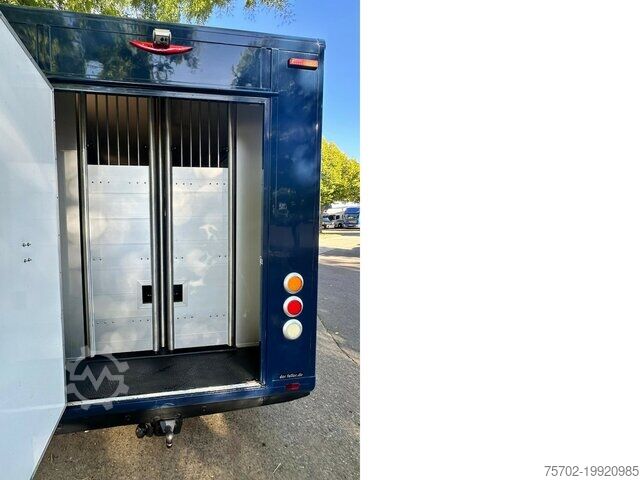 Viehtransporter Renault Master 1-2 Pferde Hengstversion