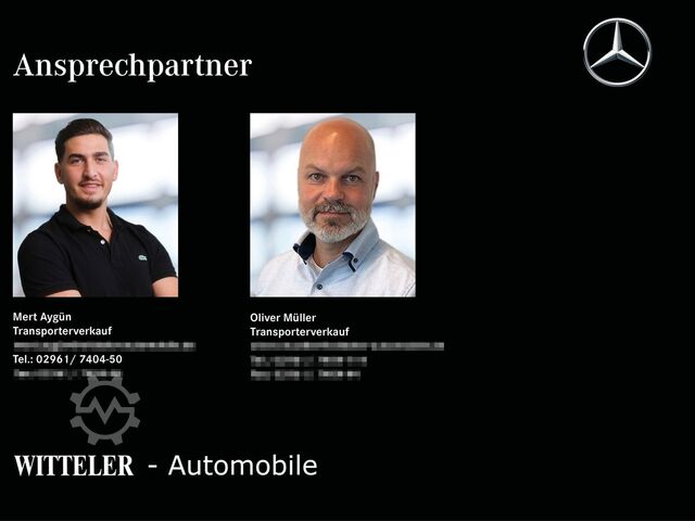 Panel van VOLKSWAGEN VW Crafter Kasten Klima/Kamera/AHK