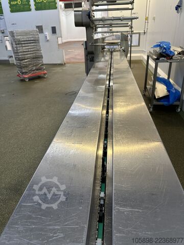 Fleischverarbeitungsmaschine Hayssen / Rose Forgrove Merlin 315