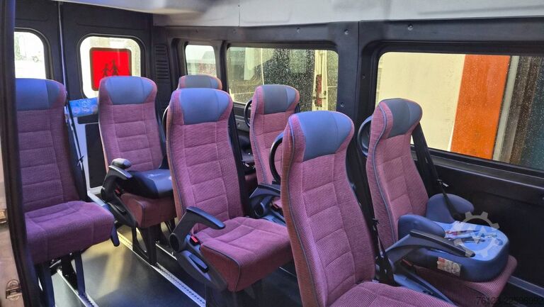 Minibus FIAT Ducato 9 Sitzer Mobility Airlineboden Rolli