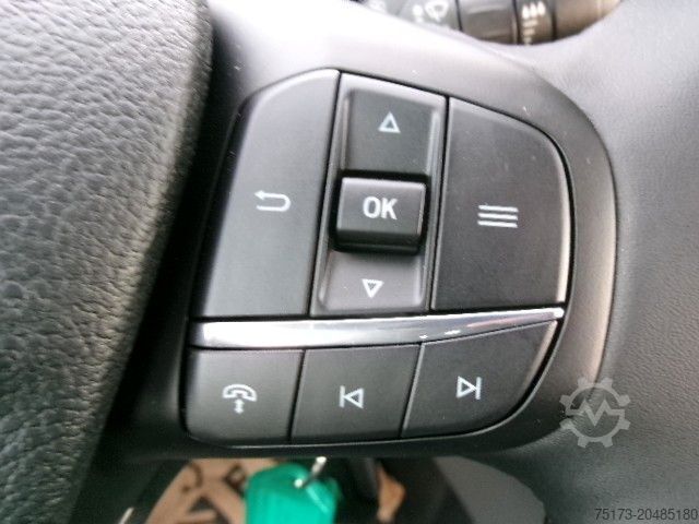 Pritschenwagen FORD Transit 350L4 Trend 4x4 Pritsche AHK Kam Stndhzg