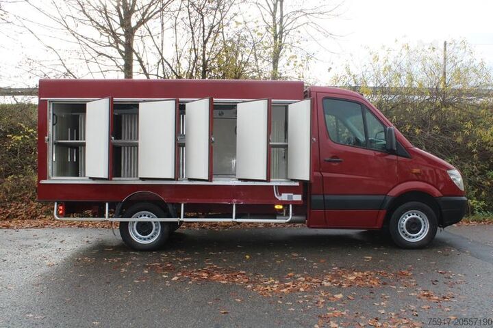 Refrigerator body van MERCEDES-BENZ Sprinter 310  Cold Car -33°C