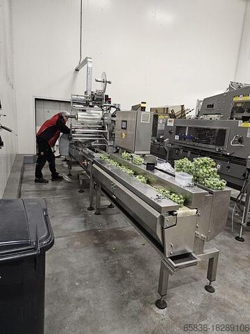 2006 Record PANDA MD-ST mit automatischem Einzug von automotion Record PANDA MD-ST with automotion automatic infeed