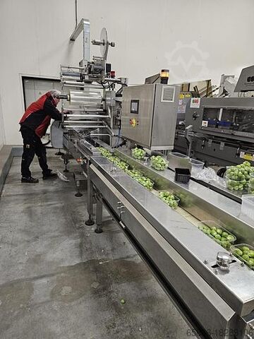 2006 Record PANDA MD-ST mit automatischem Einzug von automotion Record PANDA MD-ST with automotion automatic infeed