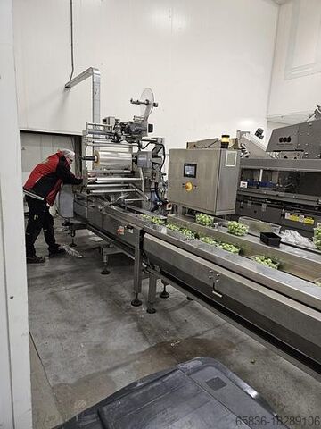 2006 Record PANDA MD-ST mit automatischem Einzug von automotion Record PANDA MD-ST with automotion automatic infeed