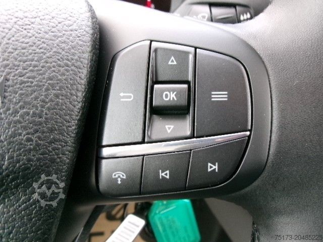 Kastenwagen hoch FORD Transit 350L3H3 Trend 4x4 Kasten Stndhz 2xS.Tür