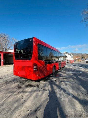 City bus MERCEDES-BENZ Citaro 530 LE - einfache Tür vorne - AC - 2 Stüc