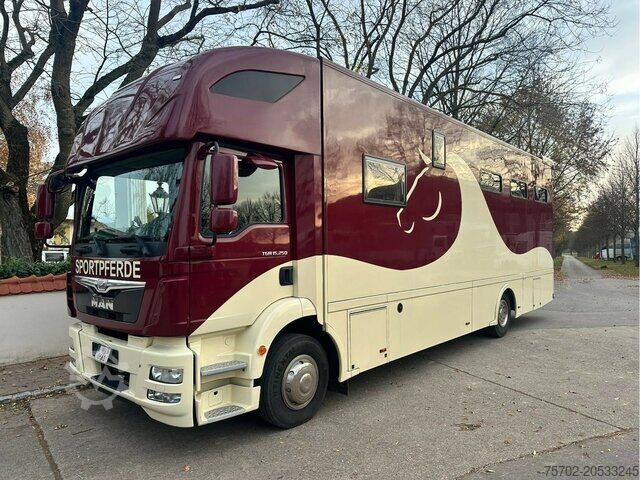 Viehtransporter LKW MAN TGM 15250 5-6 Pferde Wohnung