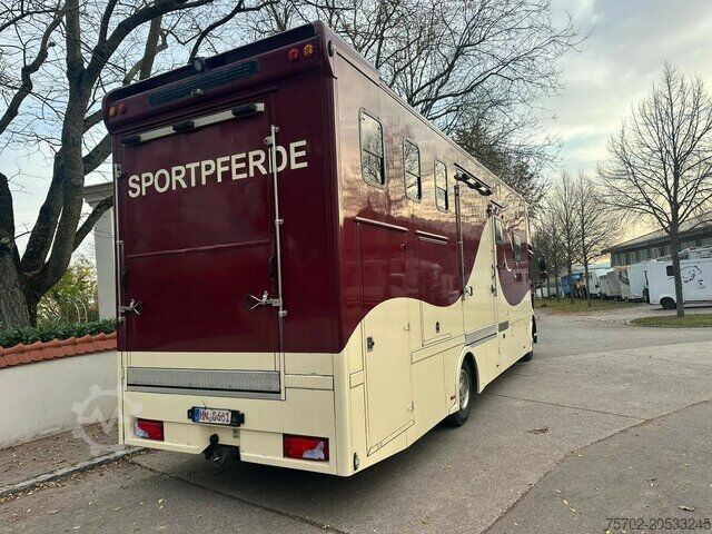 Viehtransporter LKW MAN TGM 15250 5-6 Pferde Wohnung