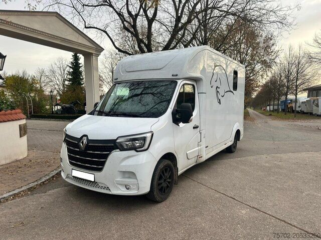 Viehtransporter Renault Master Nuyts 1-2 Pferde Hengsttrennung