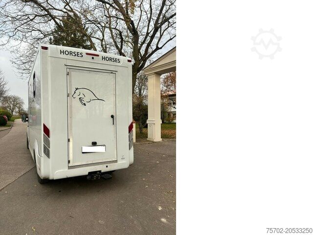 Viehtransporter Renault Master Nuyts 1-2 Pferde Hengsttrennung