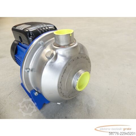 Komponente Lowara C0350/05/A Kreiselpumpe mit SM71BG/305 Motor SN: 00431 --