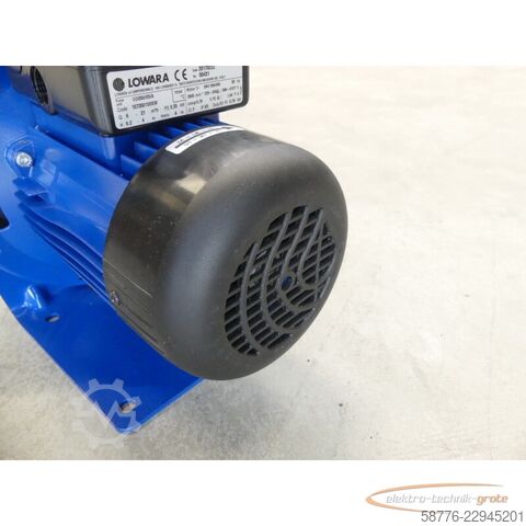 Komponente Lowara C0350/05/A Kreiselpumpe mit SM71BG/305 Motor SN: 00431 --