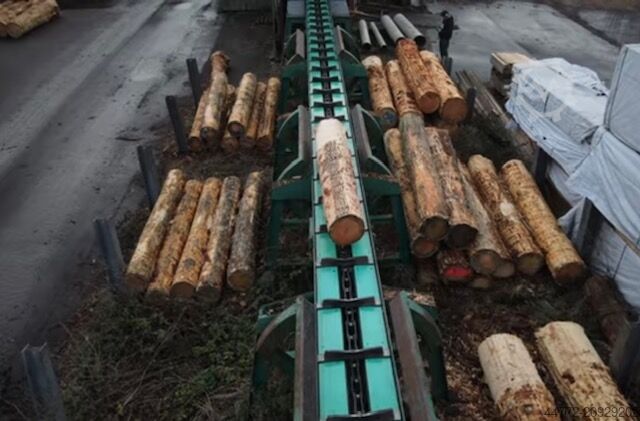 Komplettes Sägewerk (stationär) Möhringer EWD Häwa Kallfass Brodbaek Running Bandsaw NKU 150 Optimes etc.