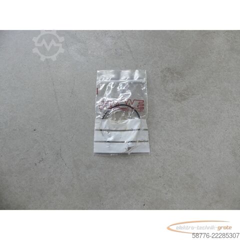 Komponente Hawe RZ11 6/3 Radialkolbenpumpe SN: 0236 -