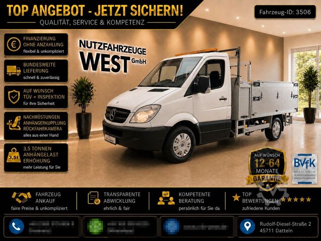 Transporter mit Kipper MERCEDES-BENZ Sprinter 316 Benzin/Gaß*Kran*+Kipper*Garantie