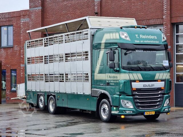 Viehtransport DAF XF 440 SuperSpaceCab 6x2*4 - Cuppers 1-2-3 deck...