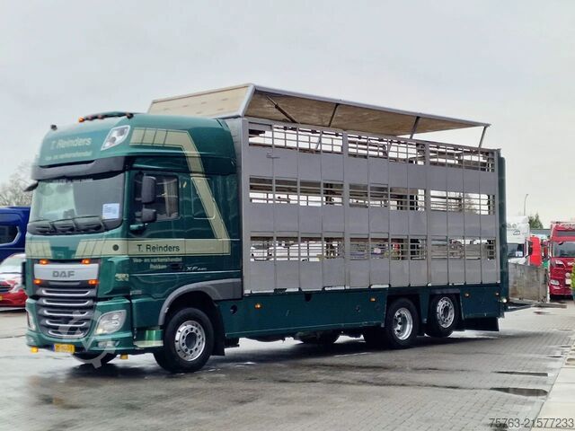 Viehtransport DAF XF 440 SuperSpaceCab 6x2*4 - Cuppers 1-2-3 deck...
