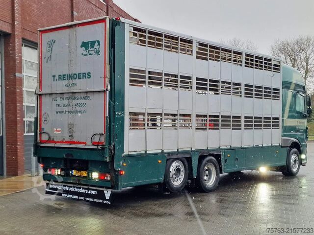 Viehtransport DAF XF 440 SuperSpaceCab 6x2*4 - Cuppers 1-2-3 deck...