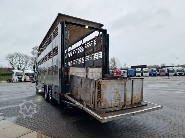 Viehtransport DAF XF 440 SuperSpaceCab 6x2*4 - Cuppers 1-2-3 deck...
