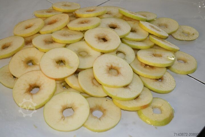 Apple slicing machine M.F.T. Srl MW-R2