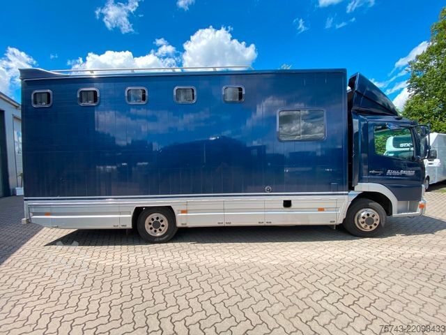 Cattle truck MERCEDES-BENZ Atego 8180 4-5  Pferde  Wohnung