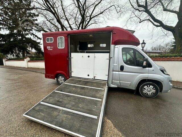 Viehtransporter Peugeot Boxer Equi-Trek 1-2 Pferde
