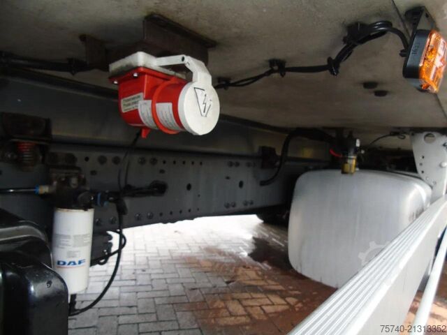 Refrigerated/freezer transport DAF CF 290 + CARRIER + LOADLIFT