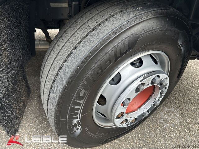 Truck chassis DAF XF 480FAN*BDF-SDG/2 Fahrhöhen*Lift-Lenk*