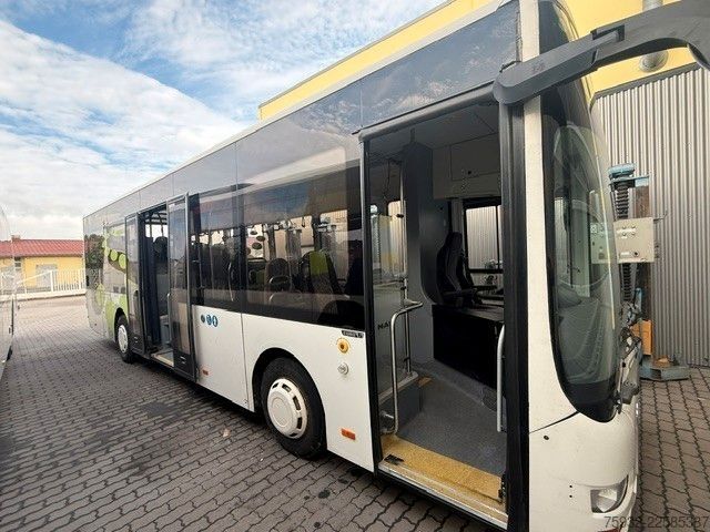 Stadtbus MAN Midi 66 K  12/14   KLIMA  EURO 6   3-Punkt-Gurte