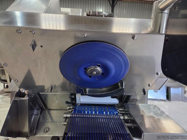 Fleischverarbeitungsmaschine Weber Maschinenbau GmbH 