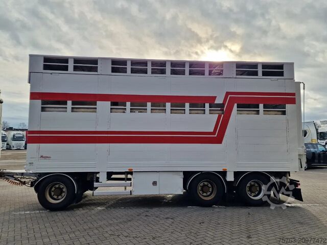 Viehtransport Samro 3 axle - 2 deck livestock - Lifting roof - Regn...