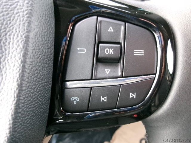 Kleinbus FORD Tourneo Custom 320L2 AT Titanium AHK ACC