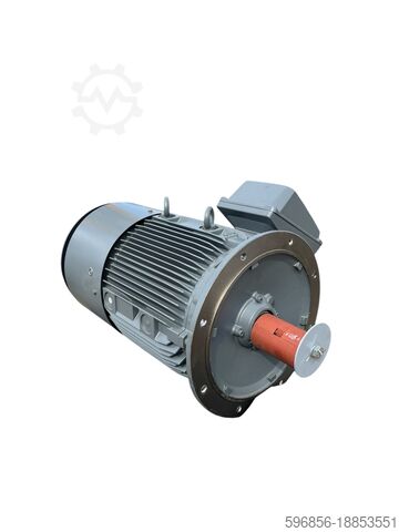 Siemens Electric Motor 55kW 2975rpm Siemens 55kW 2975obr/min