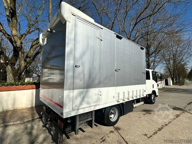 Livestock transporter Isuzu N62.150 2 Pferde, 7 eingetragene Sitzplätze
