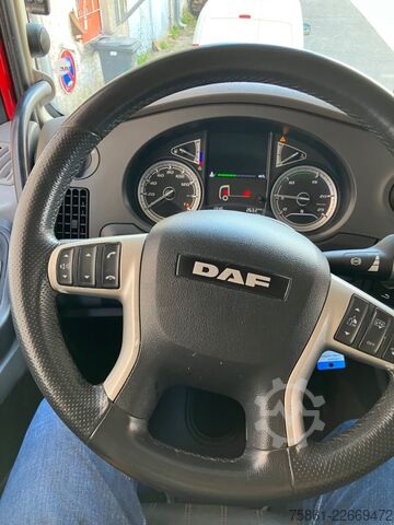 Standard SZM DAF XF 450