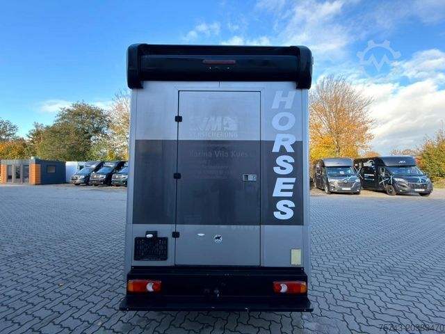 Viehtransporter PEUGEOT Boxer MSG