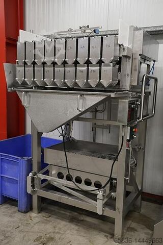 Newtec 9-Kopf-Waage Newtec 9 heads weigher