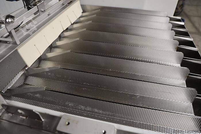 Newtec 9-Kopf-Waage Newtec 9 heads weigher