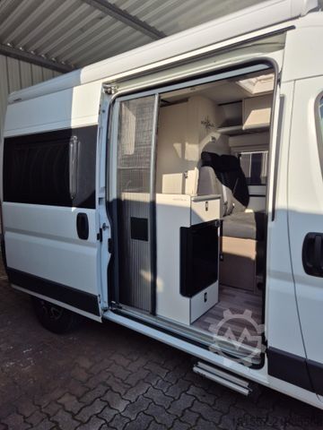 Campervan WESTFALIA Amundsen 540 D Fiat
