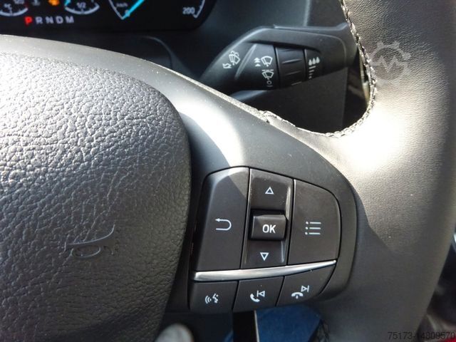 Bus FORD Transit 460L4 Autom 18Sitzer Stndhzg