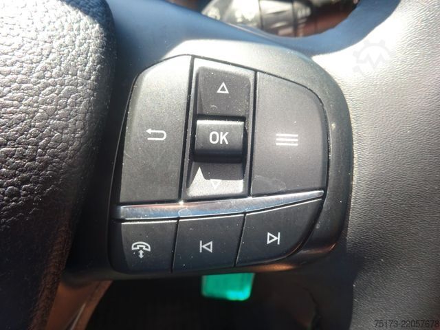 Panel van FORD Transit Kasten 350 L3H2 Trend 130PS Klima Tempom