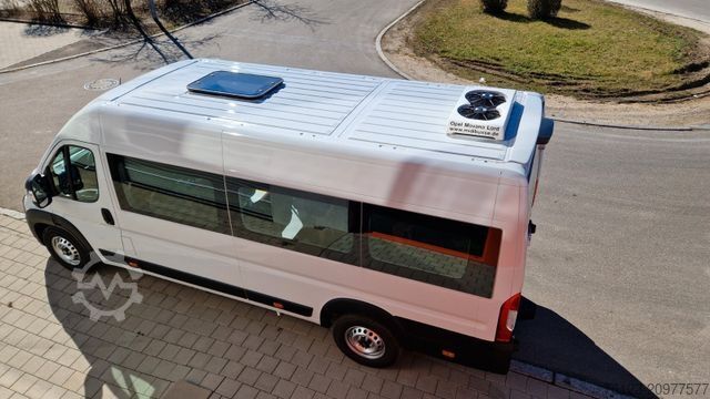 Kleinbus FIAT 1x Ducato 1x  Opel Movano 18 SS  in Stock